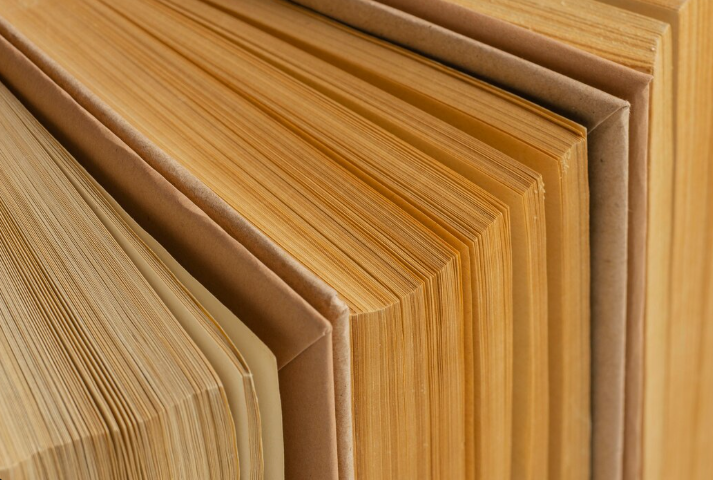 Tipos de chapas de madeira: qual escolher para cada projeto?