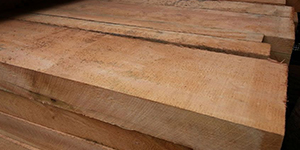 Como a madeira de cedrinho transforma ambientes: aplicações na decoração
