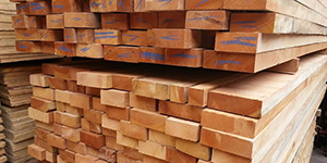 Madeira para telhado em falta? O que fazer agora