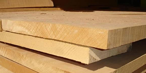 Guia prático para comprar tapume de madeira sem erro
